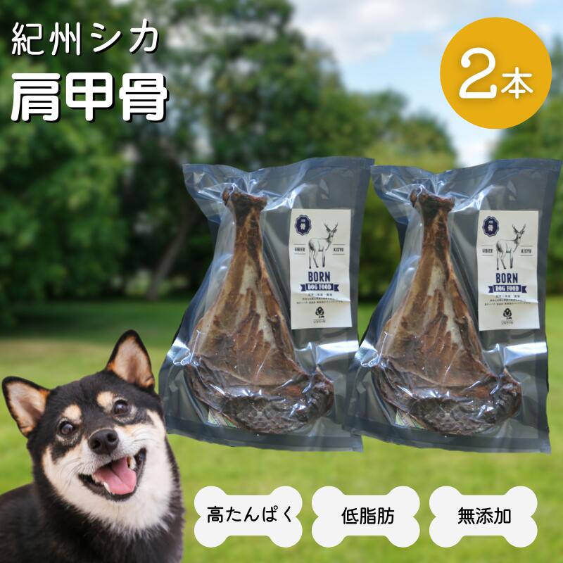 田辺市の反っくり返るを何度もお届け！★定期便特集★