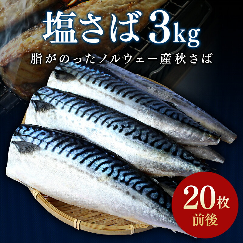 【ふるさと納税】 ボリュームたっぶり！★5.0 鯖 ご家庭用 塩さばフィレ 3kg(約20枚前後） / さば サバ おかず 切り身 切身 焼き魚 甘塩 冷凍 お弁当 和歌山県 田辺市