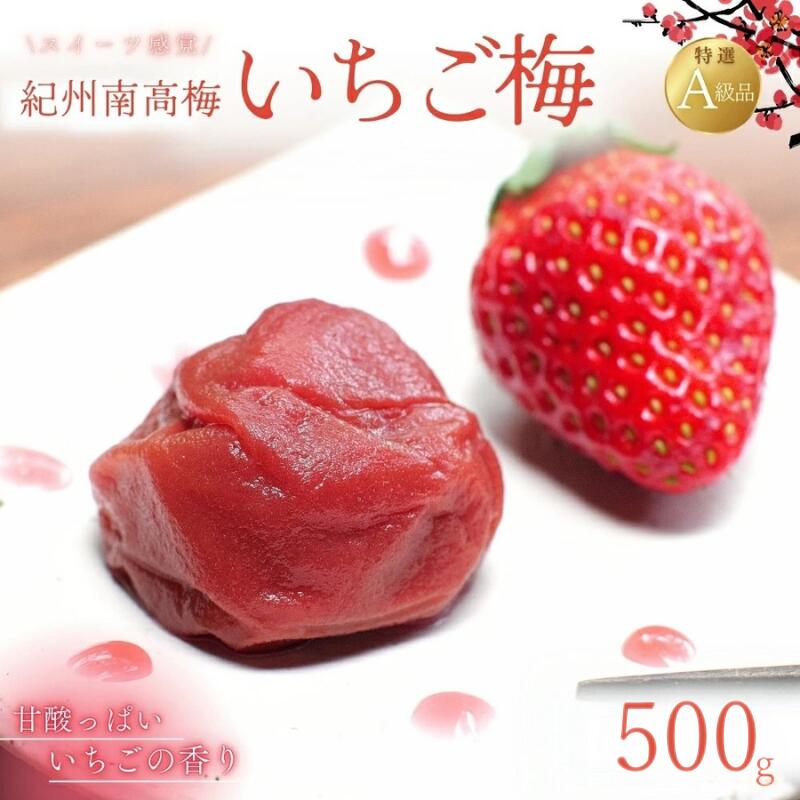 【ふるさと納税】紀州南高梅 いちご梅 500g / 梅干し 梅干 梅 田辺市 紀州南高梅 南高梅 うめ 肉厚 お米 おにぎり 焼酎 梅酒 健康 いちご梅 産地直送