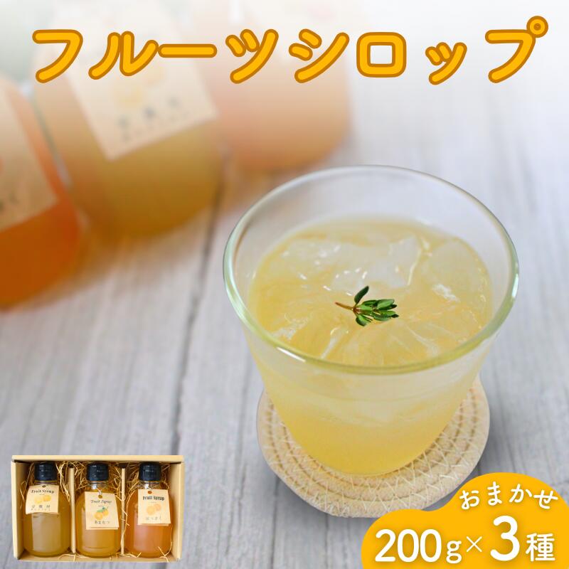 【ふるさと納税】 フルーツシロップ おまかせ3種セット（200g×3） / シロップ 希釈 ジュース オレンジ みかん 柑橘 ビン 詰め合わせ 和歌山県 田辺市