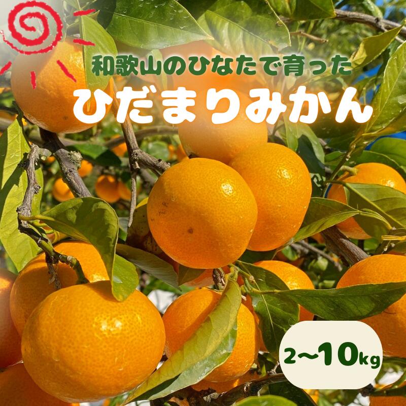 【ふるさと納税】日向屋 ひだまりみかん 【容量選べる】 2～10kg（箱込み） ※2025年12月頃に順次発送予定【期間限定・2025/12/25まで】 / 和歌山 田辺市 みかん 期間限定 先行予約 ミカン 紀州