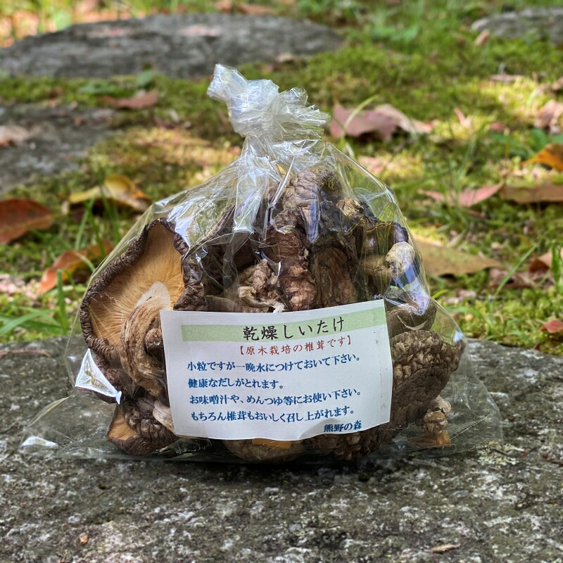 【ふるさと納税】乾燥しいたけ　10袋（合計300g） / 田辺市 しいたけ シイタケ 椎茸 乾燥｜和歌山県田辺市