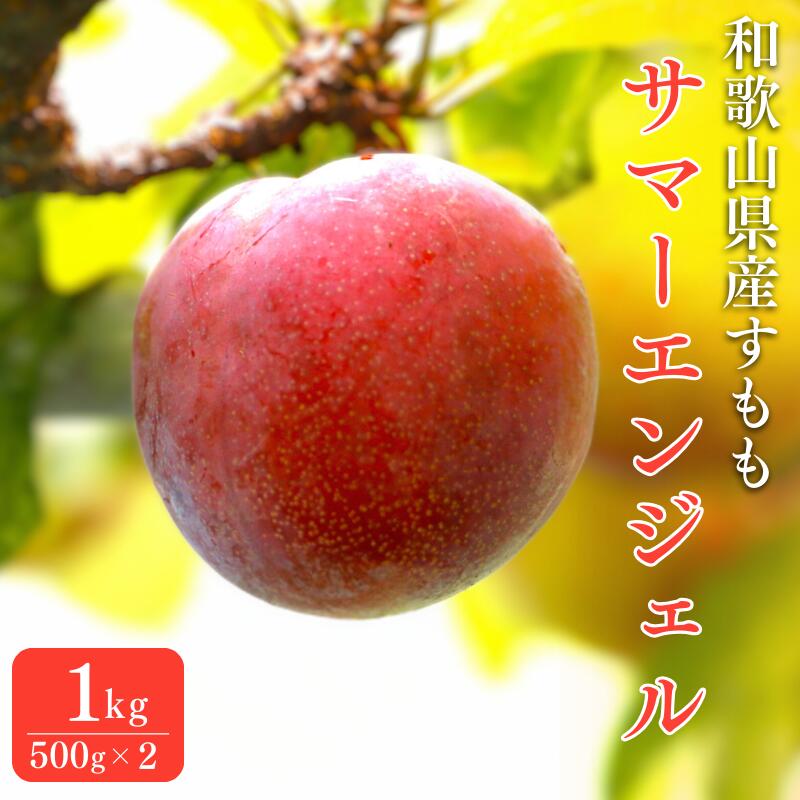 楽天市場】【ふるさと納税】 先行予約 すもも（サマーエンジェル）1kg