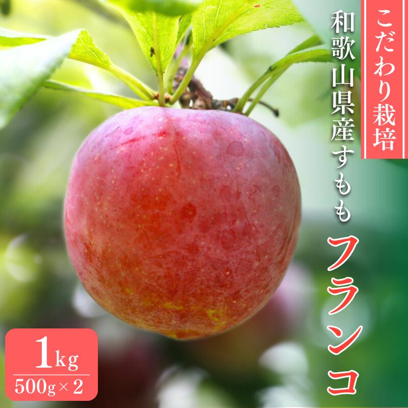 【ふるさと納税】 先行予約 こだわり栽培のすもも（フランコ）1kg ※6月中旬～7月中旬頃に順次発送予定【期間限定・2025/6/20まで】 / スモモ お取り寄せ 期間限定 夏 フルーツ 果物 サンタローザ 和歌山県 田辺市