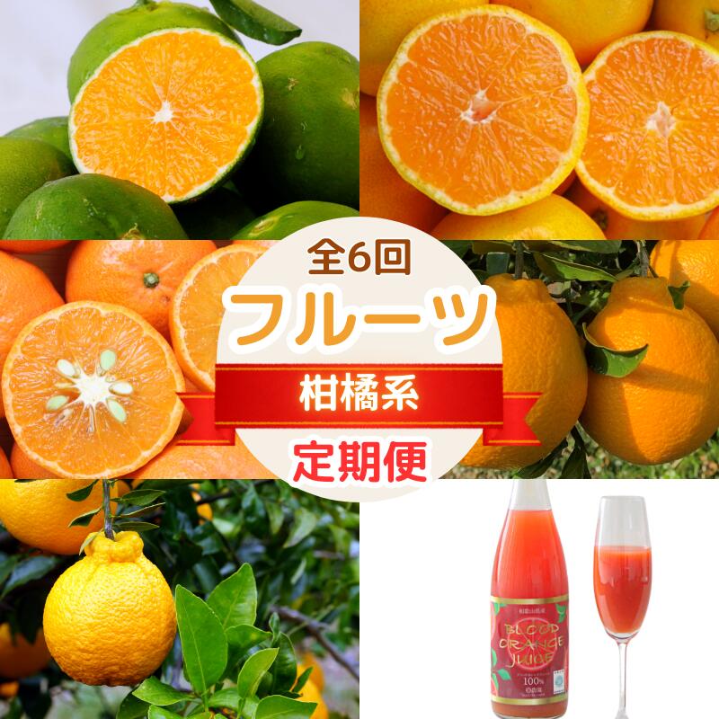 【ふるさと納税】【2025年分先行予約・数量限定】フルーツ定期便（柑橘）【5回定期便】 / 和歌山県 田辺市 みかん ゆら早生 温州みかん 紅ばえ ポンカン 不知火 ブラッドオレンジ タロッコ ブラッドオレンジジュース オレンジジュース 無添加 果汁100% ストレート画像