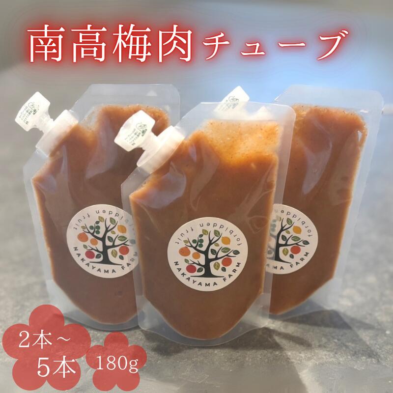【ふるさと納税】 南高梅肉チューブ【選べる容量】180g&times;2 180g&times;3 180g&times;5 / ねり梅 練り梅 紀州南高梅 南高梅 梅肉 調味料 和歌山県 田辺市｜和歌山県田辺市