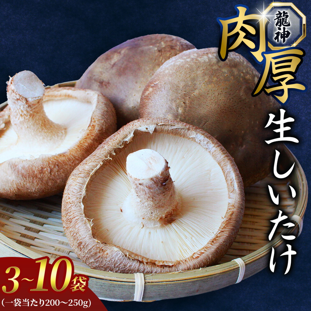 【ふるさと納税】 龍神マッシュの生しいたけ 選べる容量 3~10袋 / 肉厚 無農薬 菌床栽培 きのこ シイタケ 椎茸 和歌山県 田辺市|和歌山県田辺市