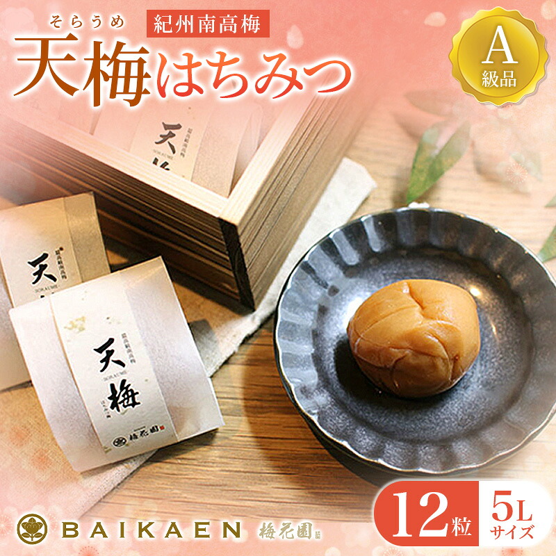 【ふるさと納税】紀州南高梅 天梅(そらうめ)はちみつ 12粒 個包装 塩分約7% A級品 大粒5Lサイズ 木箱入り / 梅干し 梅干 うめぼし 南高梅 国産 梅 うめ ウメ はちみつ梅 健康 ご飯のお供 贈答 贈り物 和歌山県 田辺市|和歌山県田辺市