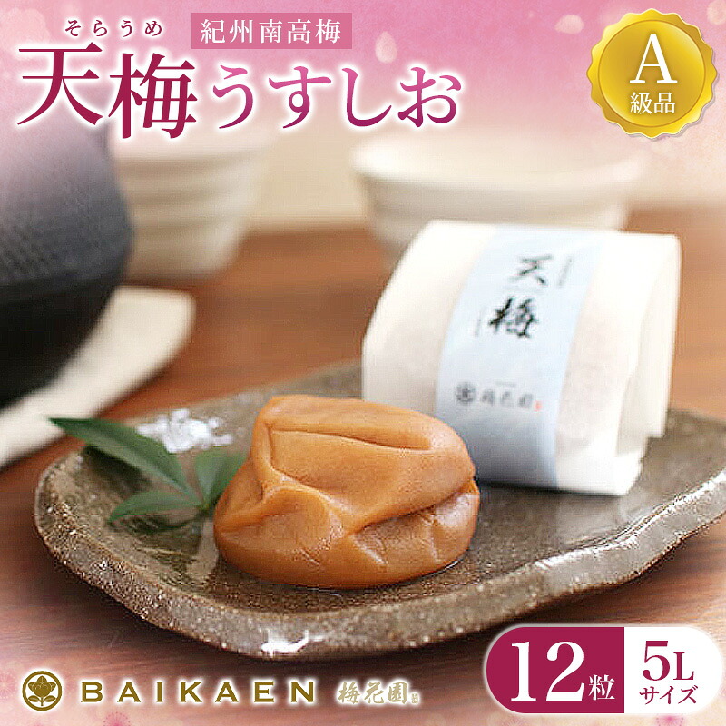 【ふるさと納税】紀州南高梅 天梅(そらうめ)うすしお 12粒 個包装 塩分約8% A級品 大粒5Lサイズ 木箱入り / 梅干し 梅干 うめぼし 南高梅 国産 梅 うめ ウメ 健康 ご飯のお供 贈答 贈り物 和歌山県 田辺市|和歌山県田辺市