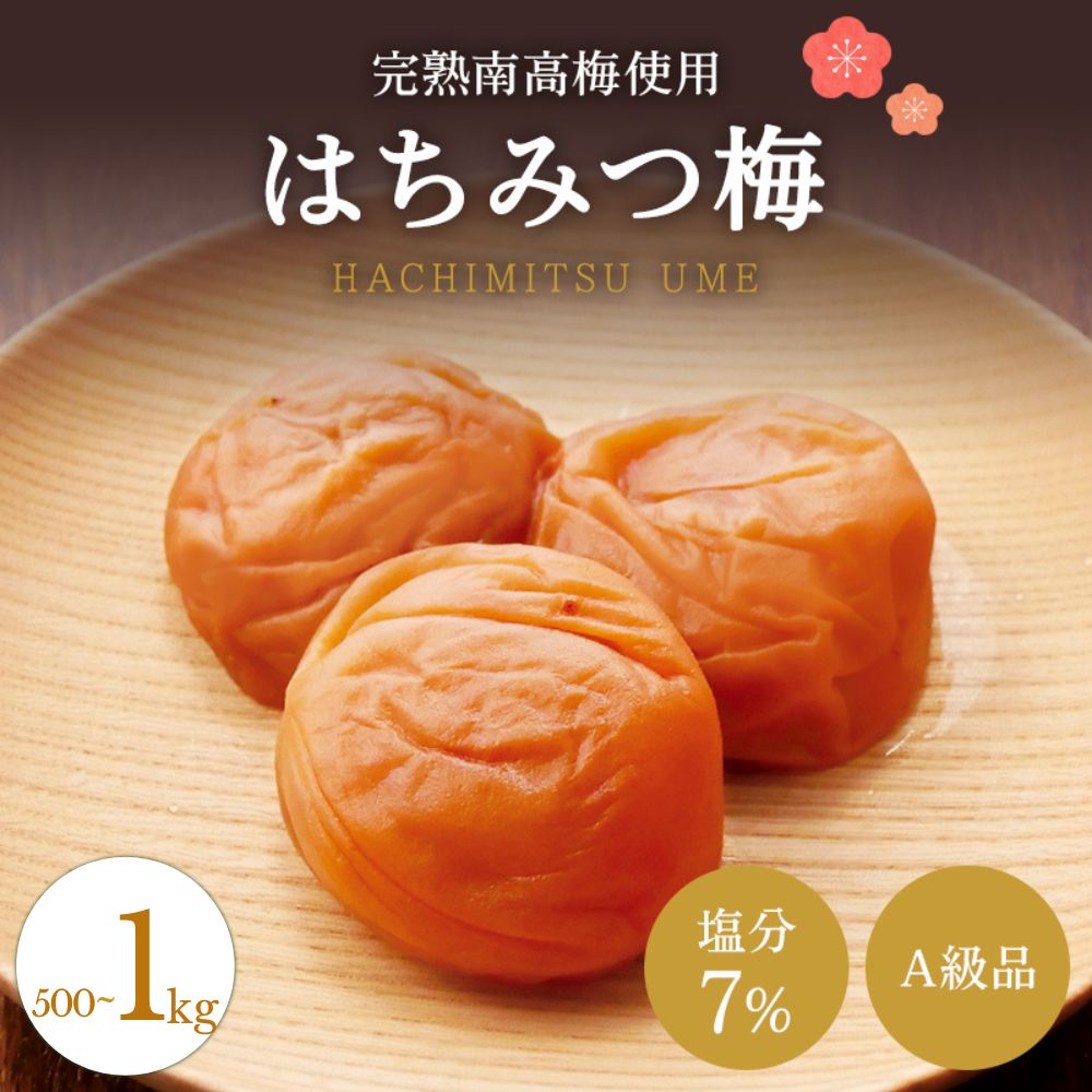 【ふるさと納税】【A級品】 紀州南高梅 はちみつ梅 500g 1kg 塩分7％ / 梅干し 梅干 うめぼし 南高梅 はちみつ梅 はちみつ梅干し 国産 梅 うめ ウメ 完熟 健康 ご飯のお供 贈り物 ギフト プレゼント お取り寄せ お茶うけ せんのうめ 和歌山県 田辺市 仙宝