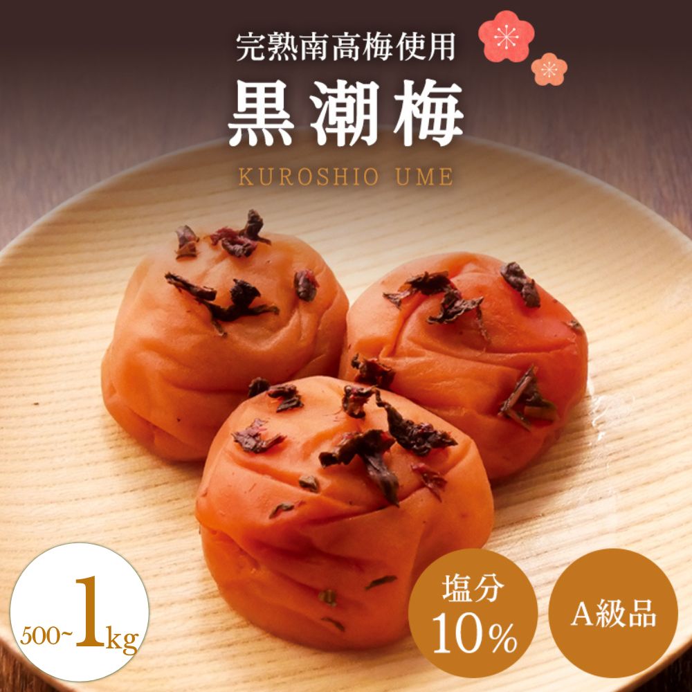 【ふるさと納税】【A級品】 紀州南高梅 黒潮梅 500g 1kg 塩分10% / 梅干し 梅干 うめぼし 南高梅 国産 梅 うめ ウメ 完熟 しそ 紫蘇 シソ かつお 鰹 カツオ 健康 ご飯のお供 昔ながら 贈り物 ギフト プレゼント 和歌山県 田辺市 仙宝|和歌山県田辺市