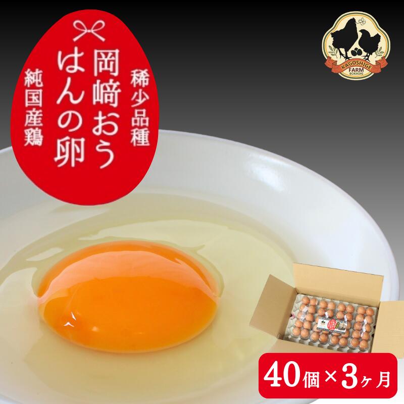【ふるさと納税】【3カ月定期便】希少品種　岡崎おうはんの卵 40個×3回【冷蔵配送】 / 田辺市 卵 たまご 有精卵 純国産鶏 鶏卵 平飼い お取り寄せ 卵かけごはん 和歌山県 27,690円