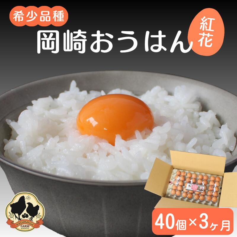 【ふるさと納税】【3カ月定期便】希少品種　岡崎おうはん 紅花の卵 40個×3回【冷蔵配送】 / 田辺市 卵 たまご 有精卵 純国産鶏 鶏卵 平飼い お取り寄せ 卵かけごはん 和歌山県