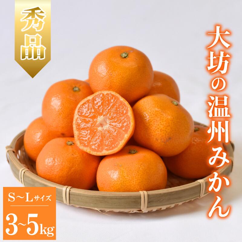 【ふるさと納税】 【予約】大坊の温州みかん 3kg～5kg Sサイズ Mサイズ Lサイズ ※2026年11月中旬～12月下旬頃に順次発送予定【期間限定・数量限定】 / みかん 蜜柑 大坊みかん 甘い 3キロ 5キロ お取り寄せ 産地直送 贈答品 ギフト 果物 くだもの フルーツ 田辺市 和歌山県｜和歌山県田辺市
