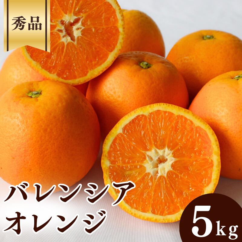 【ふるさと納税】 ＜先行予約＞バレンシアオレンジ【秀品】5kg ※2025年6月中旬～7月下旬頃に順次発送予定【期間限定・数量限定】 / 柑橘 季節限定 お取り寄せ 産地直送 贈答品 ギフト 果物 フルーツ 田辺市 和歌山県