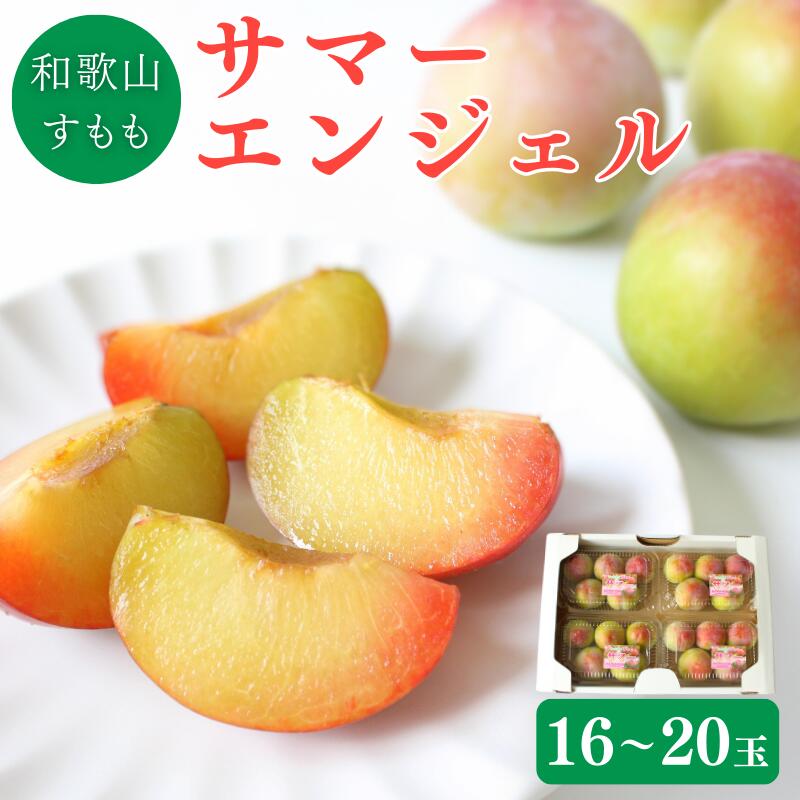 【ふるさと納税】 ＜先行予約＞すもも（サマーエンジェル）4パック ※2025年6月下旬～7月上旬頃に順次発送予定【期間限定・数量限定】 / スモモ プラム 冷蔵 季節限定 お取り寄せ 産地直送 贈答品 ギフト 果物 フルーツ 田辺市 和歌山県