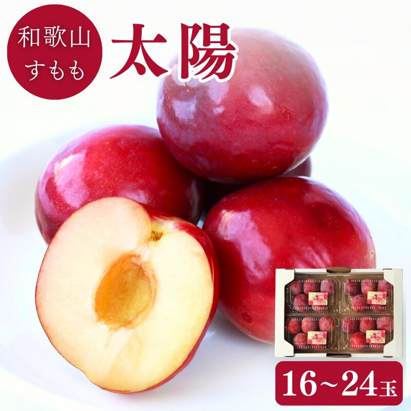 【ふるさと納税】 ＜先行予約＞すもも（太陽）4パック ※2025年6月下旬～7月上旬頃に順次発送予定【期間限定・数量限定】 / スモモ プラム 冷蔵 季節限定 お取り寄せ 産地直送 贈答品 ギフト 果物 フルーツ 田辺市 和歌山県