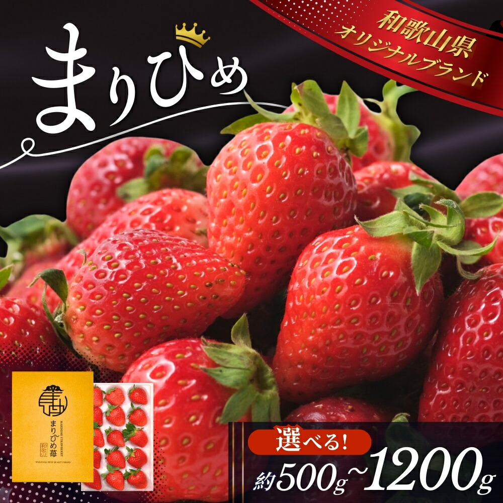 【ふるさと納税】 【先行予約】 いちご まりひめ 選べる容量 500g～1.2kg 【2025年12月頃から順次発送】 / いちご 苺 和歌山 果物 フルーツ 野菜 苺 冷蔵 冬 ギフト 贈答 ご家庭用 12月 1月 2月