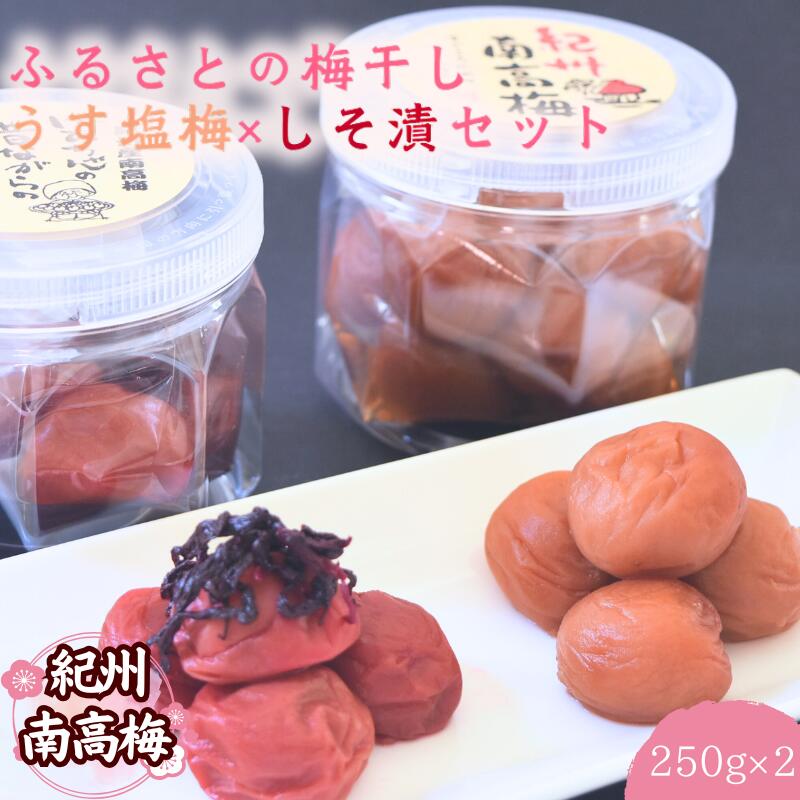 【ふるさと納税】 紀州南高梅 ふるさとの梅干し うす塩梅&times;しそ漬セット 250g&times;2 / 和歌山 田辺 紀州 南高梅 お試し 試食 初めて 味見 特選 国産 おにぎり お弁当 二種 500g 免疫 塩分補給｜和歌山県田辺市