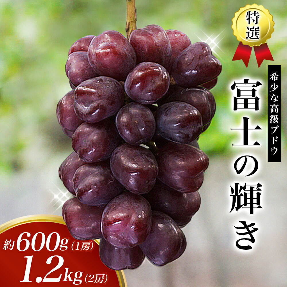 楽天市場】富士の輝きぶどう 高糖度ぶどう 希少品種ぶどう ブラック