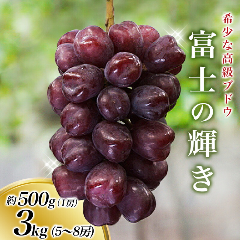 楽天市場】富士の輝きぶどう 高糖度ぶどう 希少品種ぶどう ブラック
