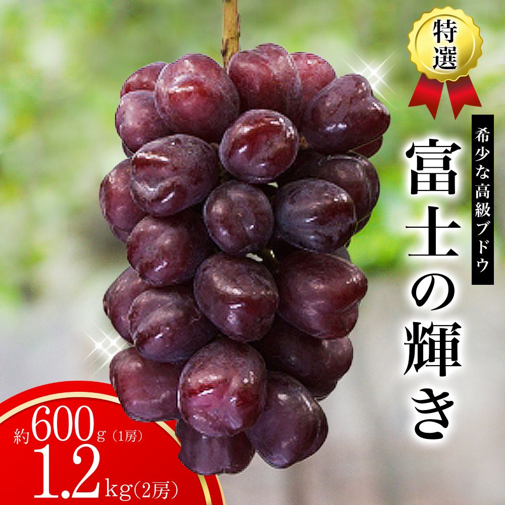 楽天市場】富士の輝きぶどう 高糖度ぶどう 希少品種ぶどう ブラック