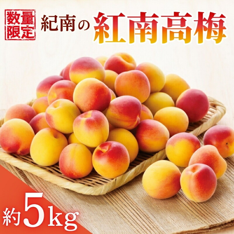 【ふるさと納税】 紀南の紅南高梅（2L～3Lサイズ）約5kg 2025年6月上旬～中旬頃発送予定 / 田辺市 果物 果実 くだもの かじつ 梅 青梅 生梅 梅干し うめぼし 梅酒 梅ジュース 梅シロップ 手作り 自家製 ※北海道・鹿児島県・沖縄県・離島配送不可