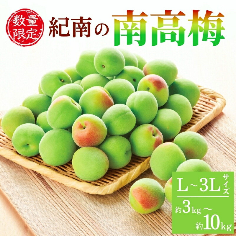 【ふるさと納税】 紀南の南高梅　選べるサイズと容量 L～3Lサイズ 約3kg～約10kg 2025年5月下旬～6月中旬頃発送予定 / 果物 果実 梅 青梅 生梅 梅干し うめぼし 梅酒 梅ジュース 梅シロップ 手作り 自家製 ※北海道・鹿児島県・沖縄県・離島配送不可