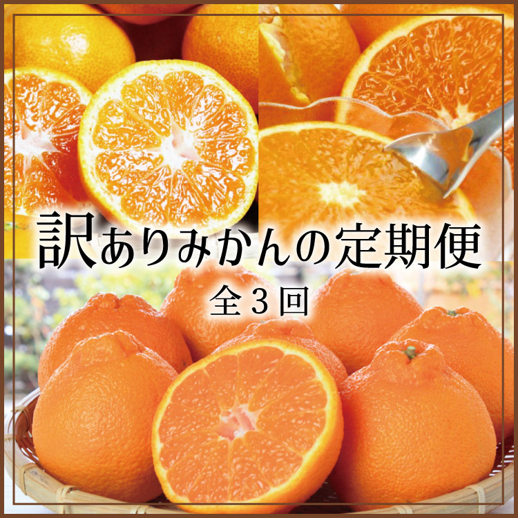 【ふるさと納税】 【3か月定期便】たっぷり届く♪訳ありみかんの定期便｜和歌山県新宮市 35,750円