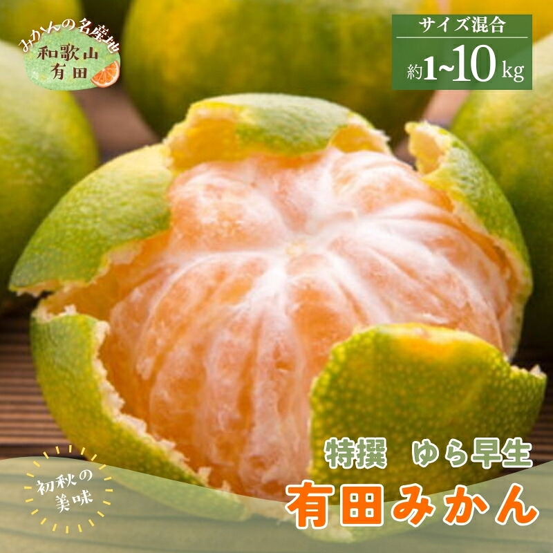 【ふるさと納税】 【初秋の美味】【2026年10月中旬～11月上旬頃に順次発送予定】特撰 ゆら早生有田みかん 1kg～10kg　選べる容量