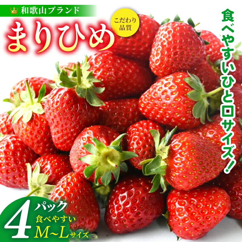 【ふるさと納税】【先行予約】まりひめイチゴ4パック 食べやすいひと口サイズ M～L（15粒～20粒入&times;4パック）【2027年1月中旬～3月下旬頃順次発送予定（お届け日指定不可）】 / いちご 苺 まりひめ 和歌山 フルーツ 果物 くだもの｜和歌山県新宮市