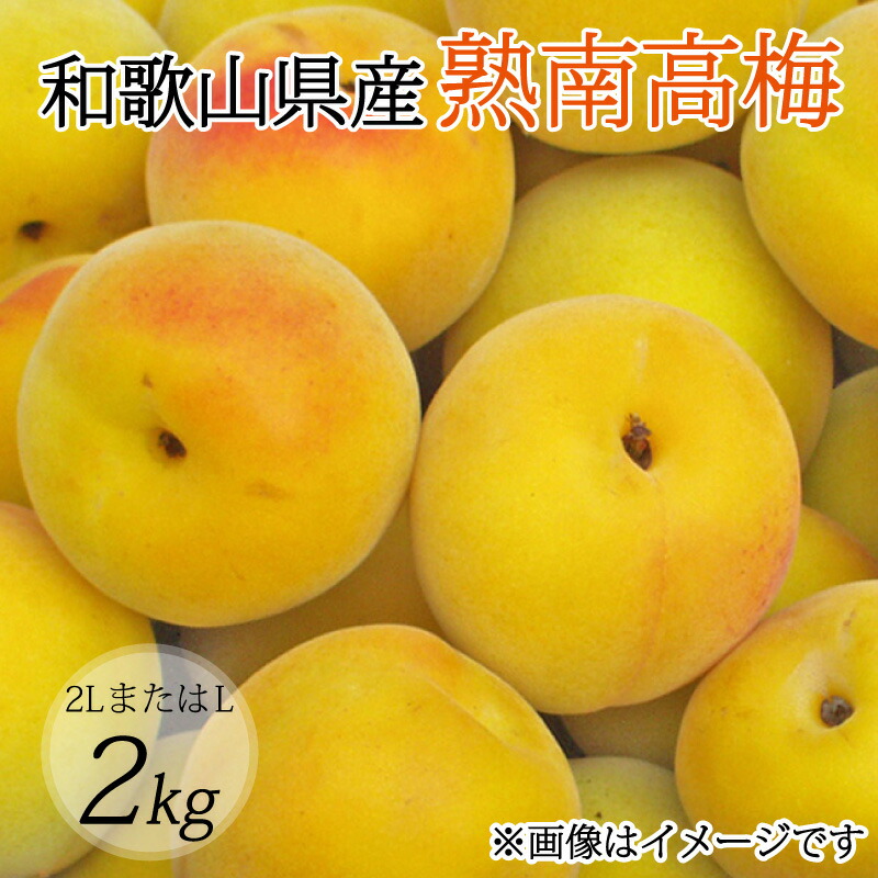 【ふるさと納税】 【梅干し・梅酒用】（2LまたはL－2Kg）熟南高梅＜2025年6月上旬～7月上旬ごろに順次発送予定＞