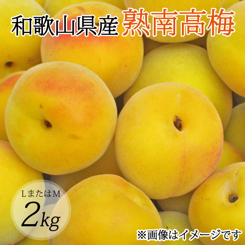 【ふるさと納税】 【梅干し・梅酒用】（LまたはM－2Kg）熟南高梅＜2025年6月上旬～7月上旬ごろに順次発送予定＞