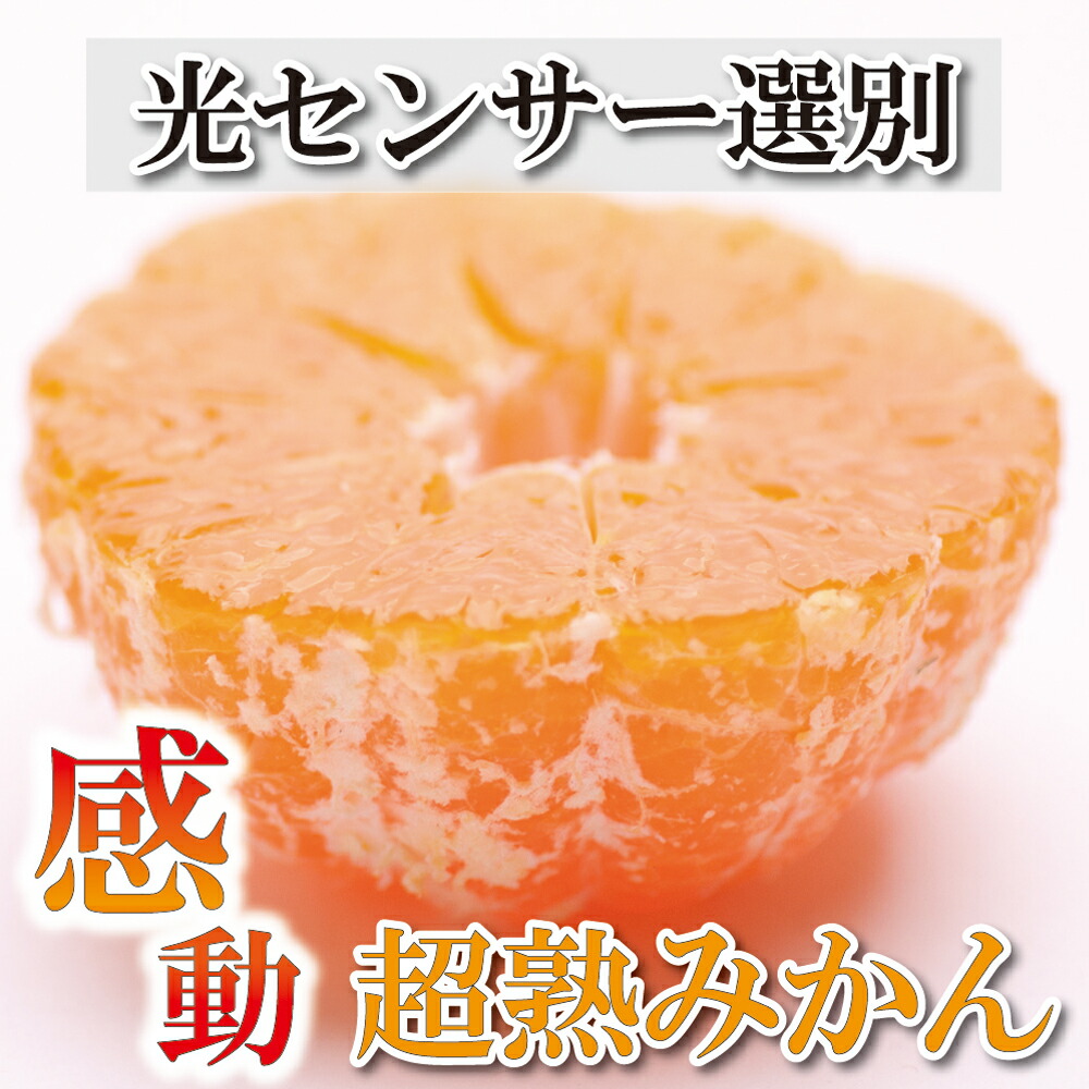 家庭用 超熟有田みかん8kg 240g 2022年11月〜12月下旬