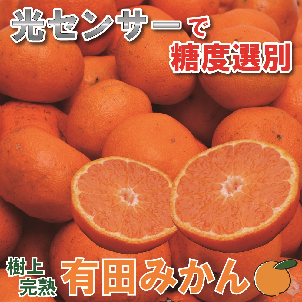 樹上完熟有田みかん8.5kg 255g 傷み補償分 2022年11月〜2023年1月下旬ごろに順次発送 最大77％オフ！