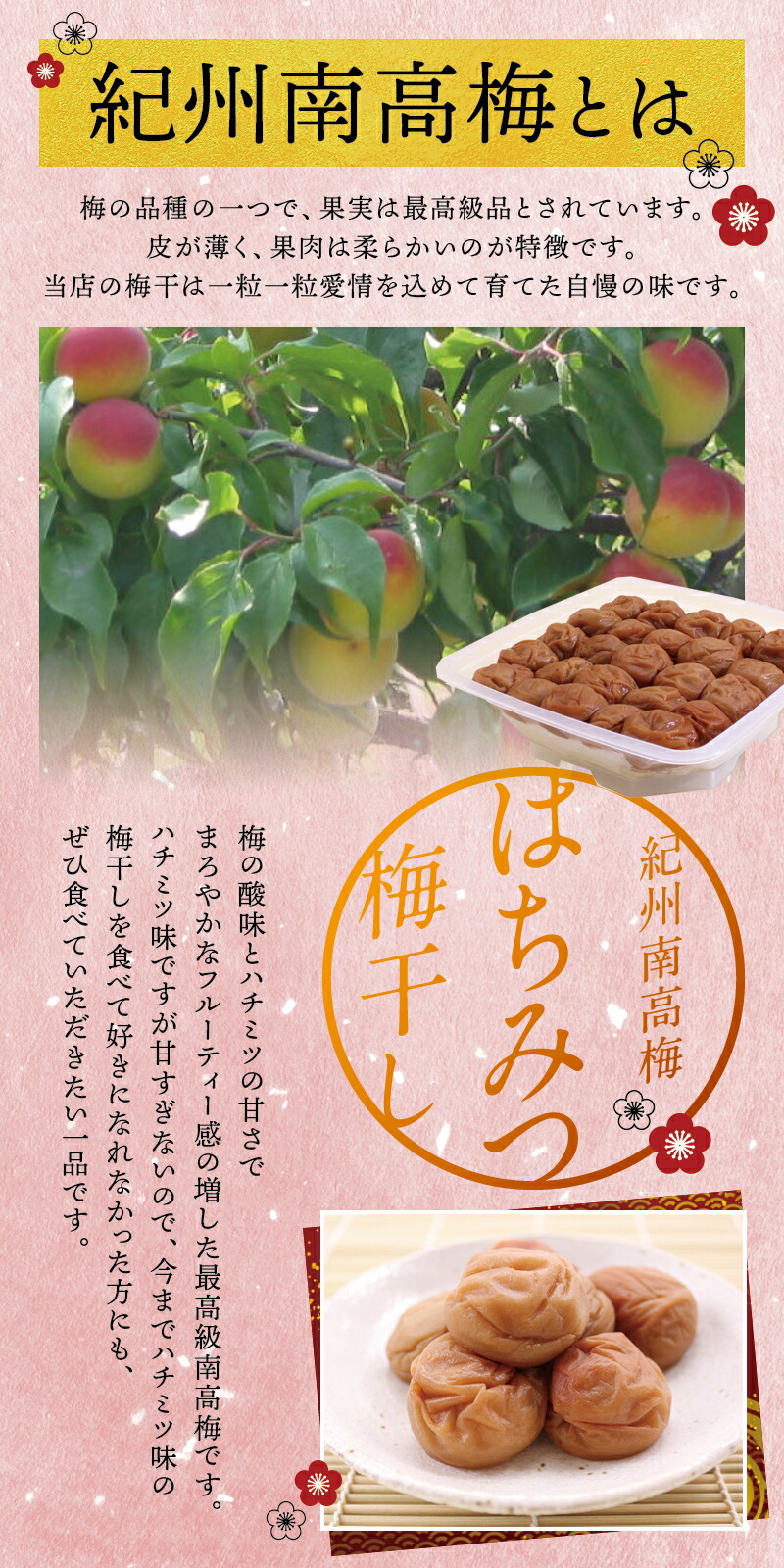 1.4kg【ご家庭用】