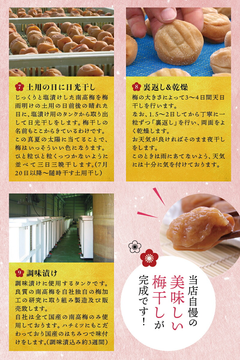 【ふるさと納税】最高級紀州南高梅大粒・はちみつ梅干し1.4kg【ご家庭用】