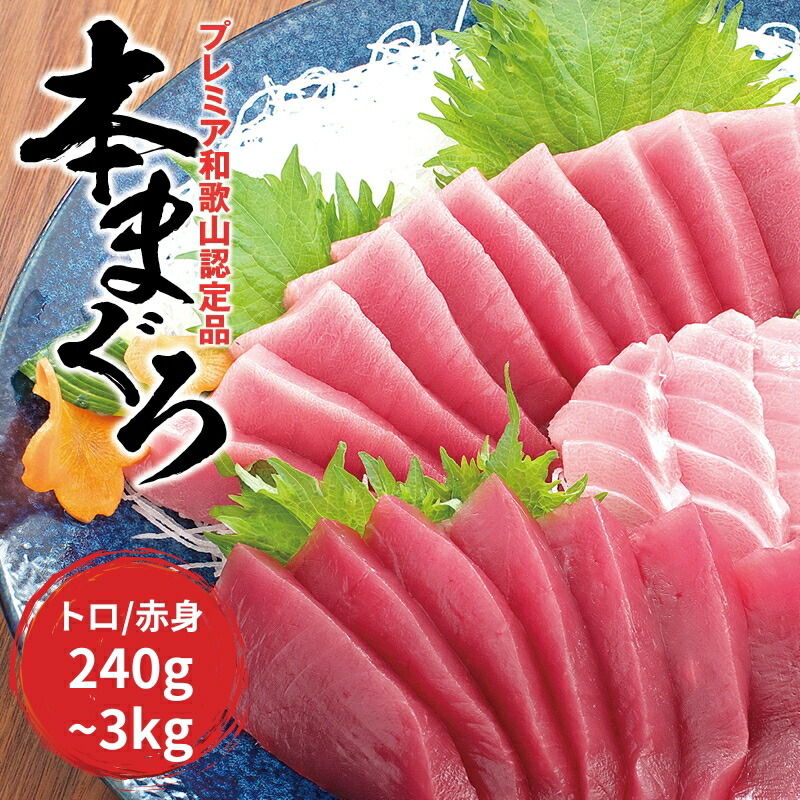 【ふるさと納税】 【容量・発送時期が選べる】本マグロ（養殖）トロ＆赤身セット 240g 500g 1350g 3kg / まぐろ マグロ 鮪 赤身 冷凍 中トロ 中とろ 海鮮 柵