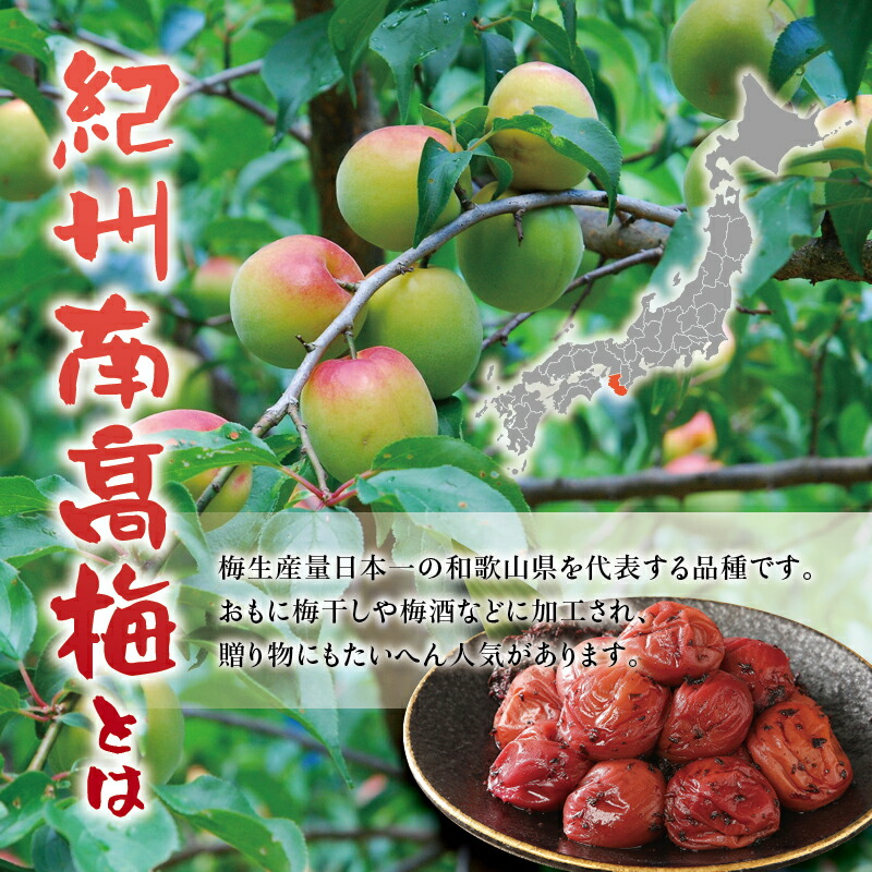 市場 ふるさと納税 うす塩orかつお 味が選べる ハチミツ有 塩分10% 紀州南高梅