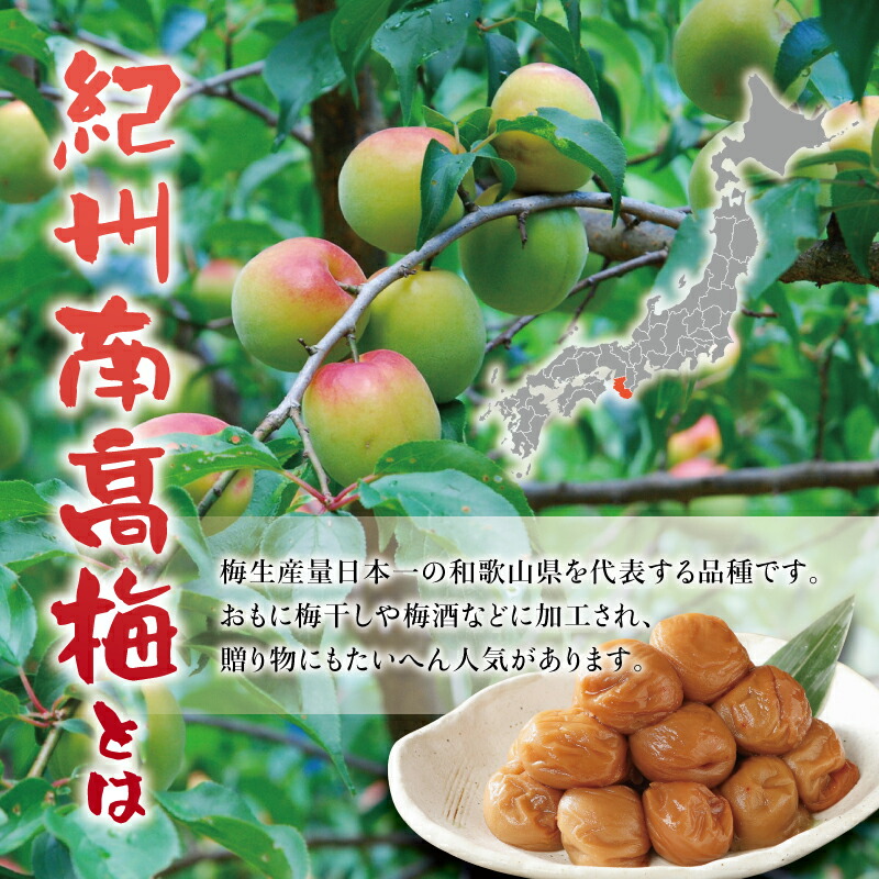 紀州南高梅 しそ風味梅干 1.2kg ご家庭用 最大70％オフ！