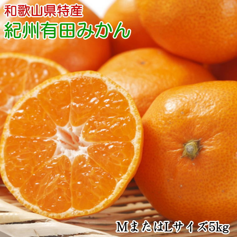 【ふるさと納税】 [秀品]和歌山有田みかん 5kg(MサイズまたはLサイズのいずれか) ※2026年11月中旬～2027年1月中旬頃順次発送予定（お届け日指定不可）｜和歌山県新宮市 10,950円