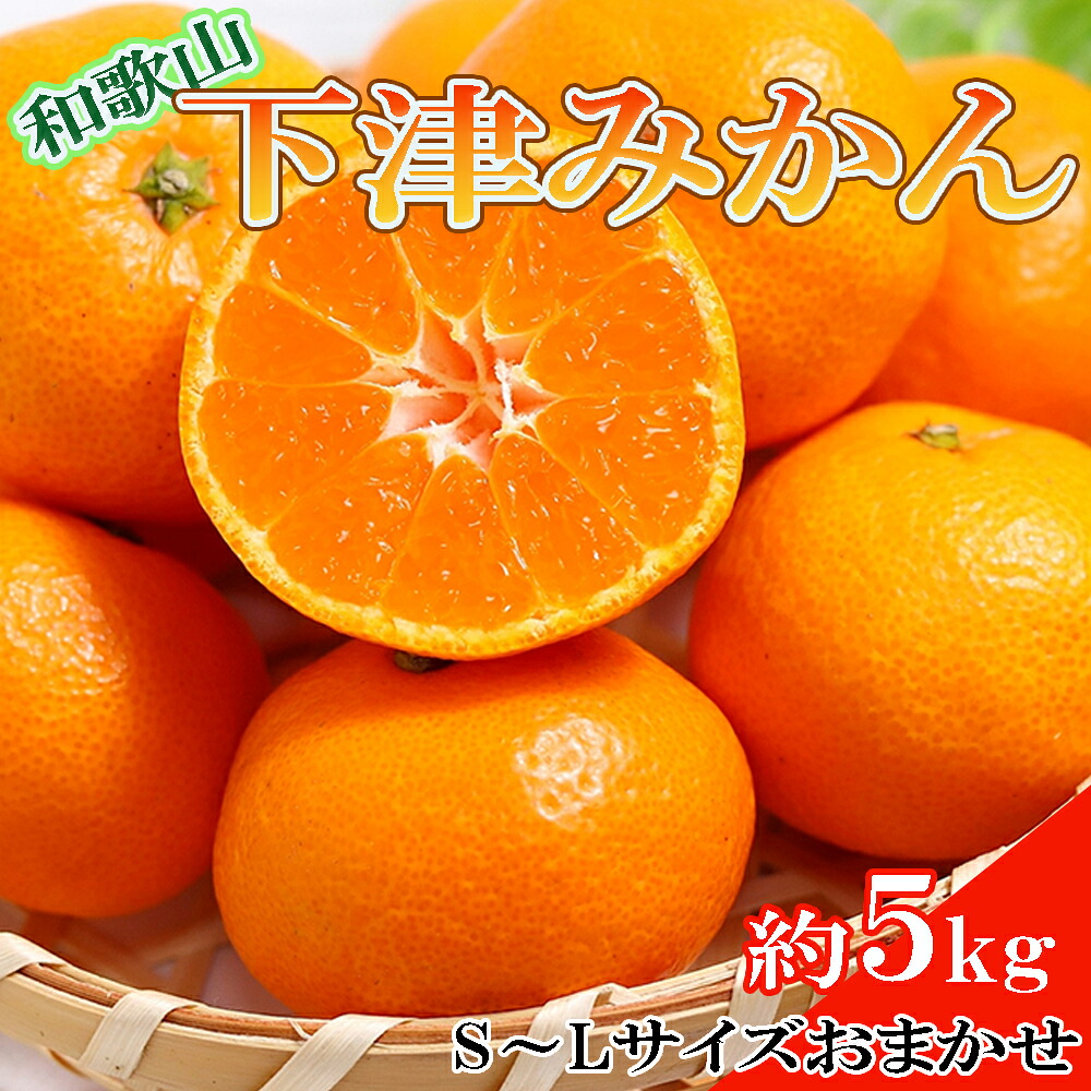 【ふるさと納税】 【産直・秀品】和歌山下津みかん約5kg(S～Lサイズおまかせ) ※2026年11月中旬～2027年1月中旬頃順次発送予定（お届け日指定不可）｜和歌山県新宮市