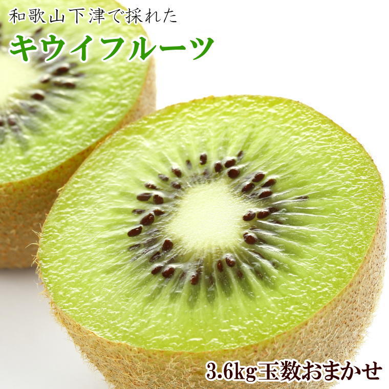 【ふるさと納税】 和歌山の下津で採れたキウイフルーツ約3.6kg（玉数おまかせ・秀品）※2026年1月中旬～2026年3月上旬頃に発送