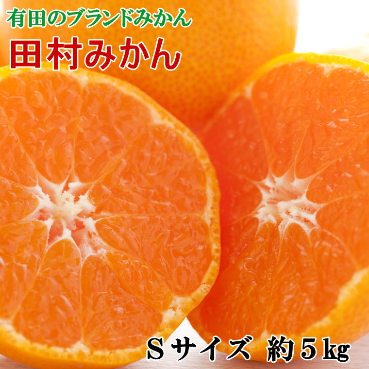 【ふるさと納税】 【ブランドみかん】田村みかん約5kg(Sサイズ・秀品) ※2026年11月下旬~2026年12月下旬頃順次発送予定(お届け日指定不可)|和歌山県新宮市