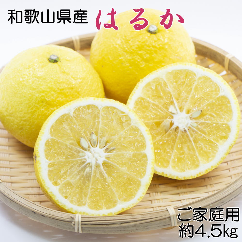 【ふるさと納税】 【さわやか柑橘】和歌山県産はるかみかん約4.5kg（サイズ混合 秀品） ※2027年2月下旬～2027年3下旬頃順次発送｜和歌山県新宮市 7,600円