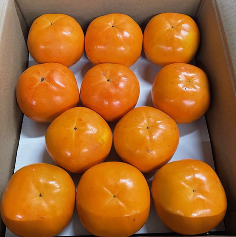 【ふるさと納税】富有柿の新品種「紀州てまり」約7.5kg（22玉～32玉おまかせ）※2025年11月上旬～2025年11月中旬頃発送（お届け日指定不可）