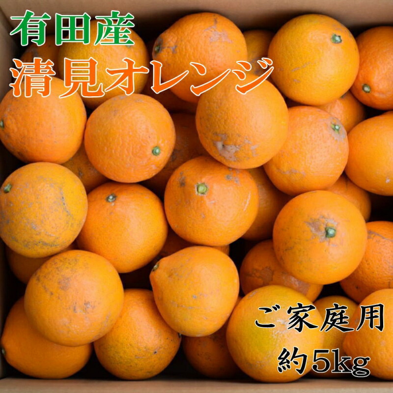 【ふるさと納税】【先行予約】【濃厚】有田産清見オレンジ約5kg(サイズおまかせまたは混合)ご家庭用　※2026年2月中旬～2026年3月下旬頃発送予定（お届け日指定不可） / みかん オレンジ 和歌山 有田みかん 柑橘 フルーツ 果物【tec988】