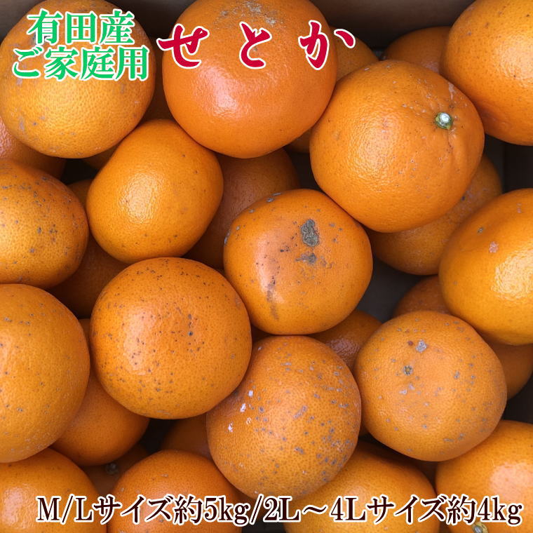 【ふるさと納税】(訳あり・ご家庭用)一度は食べていただきたい「有田産のせとか」約4kg～5kg　※2027年2月中旬～2027年3月中旬頃に順次発送｜和歌山県新宮市