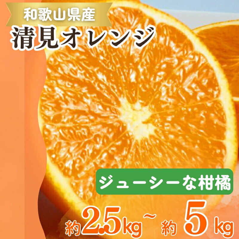 【ふるさと納税】 【予約】【ジューシー】清見オレンジ 約2.5kg 約5kg ※2026年3月下旬頃～2026年4月中旬頃に順次発送予定（お届け日指定不可）