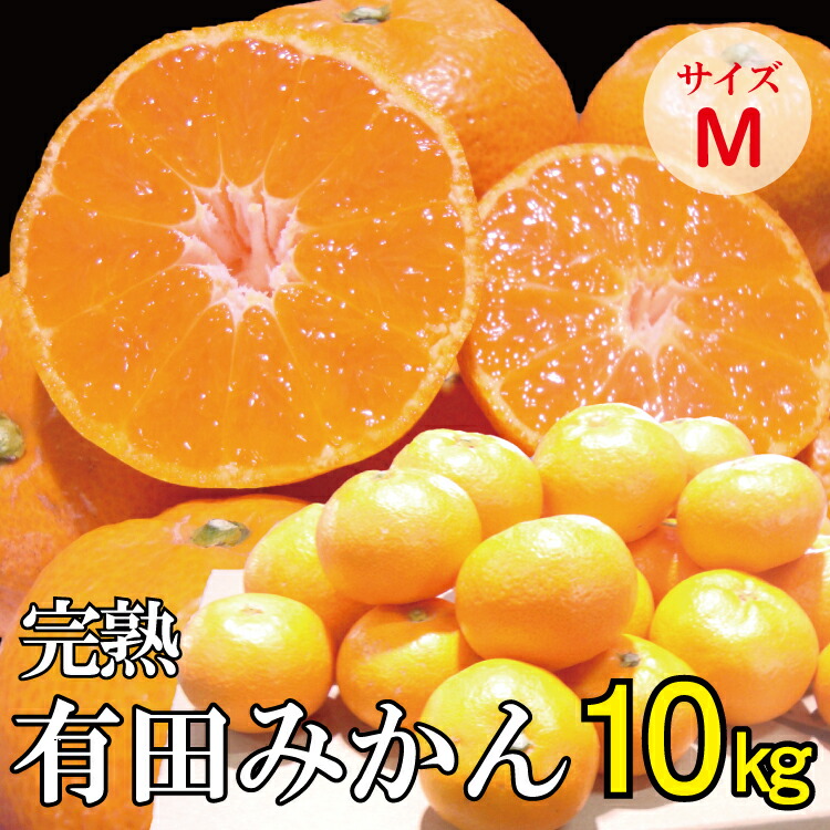 農園直送 濃厚有田みかん ご家庭用 お届け日指定不可 約10kg ※１１月下旬〜１２月下旬順次発送予定